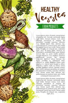 Exotic vegetables from natural farm, veggies sketch. Vector celery and parsley, radish and beetroot, sweet potato and chickpea, rutabaga and cassava, little corn and jicama, chayote and taro roots