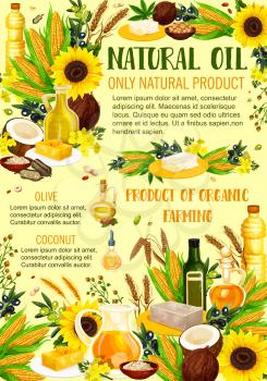 Vegetable oils and organic farming products. Vector sunflower and colza, coconut butter or avocado and hemp seed, hazelnut and corn cooking, olive oil in bottles and pitcher jars