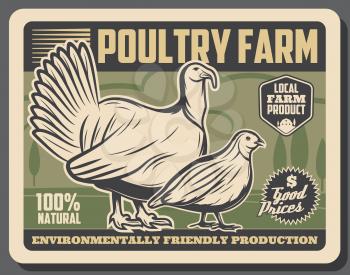 Farm market retro poster, poultry meat products from farm. Vector vintage design of premium quality natural meat of turkey, chicken hen and quail