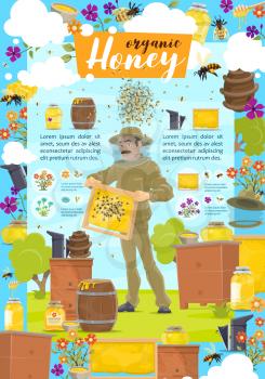 Honey beekeeping and organic natural honey product, agriculture. Vector beekeeper man in protective uniformat beehive apiary taking honey, honeycomb and bees on flower meadow