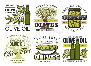 Green olives and olive oil icons. Vector extra virgin olive oil bottle, marinated pickles in glass jar and natural organic olives food, premium quality food package