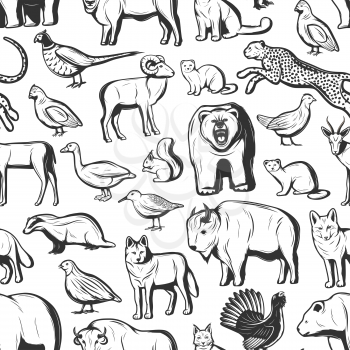 Animals and birds seamless pattern background. Vector African safari hunt cheetah and buffalo, wild beer, badger or fox and wolf, hunting fowl duck, partridge and woodcock with pheasant and squirrel