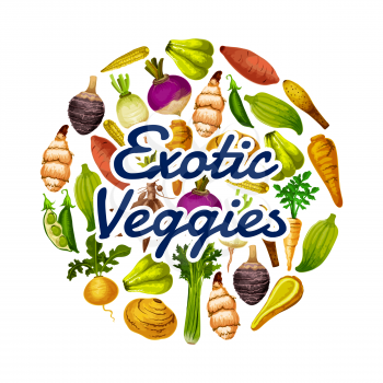 Exotic veggies icon, healthy food. Vector peas and chayote, horseraddish and beet, celery and turnip, parsnip and swede, mini corn and rutabaga, cassava and arracacia, caigua and jicama with yam