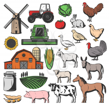 Farm cattle and agriculture farming icons. Vector isolated barn and wheat mill, vegetable harvesting tractor, dairy milk and cow or horse with sheep lamb, donkey and pig on pasture meadow
