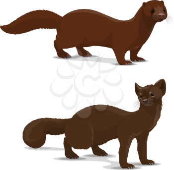 Mink and sable dark-colored carnivorous mammal icon. Wildlife vector animal with rich glossy brown coat that looks silky. European and american mink and sable, isolated hunting vector animal