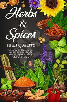 Seasoning herbs and spices, vector condiments. Rosemary and thyme, basil, dill and parsley, sunflower and bay leaf, lavender or mint, curry, cinnamon, bell pepper and lemongrass, ginger and olive