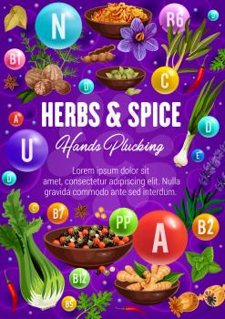 Herbal spices, cooking flavoring herbs and seasonings vector poster. Healthy multivitamin and vitamins complex in culinary condiments celery, onion leek and peppercorns, turmeric or sage and nutmeg