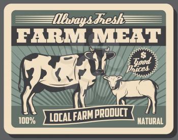 Farm meat, beef and lamb animals food products retro poster of livestock agriculture vector design. Cow and sheep, cattle breeding farm or animal farming, farmer market advertisement