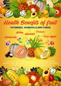 Vitamins, minerals and fiber of exotic fruits and berries vector design. Health benefits of tropical durian, pomelo and melon, kumquat, pandan and physalis, cherimoya, longkong, pu hala and marang