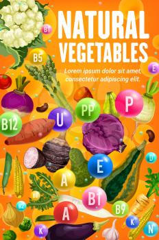 Natural vitamins of fresh vegetables and beans, health food design. Vector tomato, carrot and garlic, cabbage, radish and corn, asparagus, cauliflower and eggplant, pea, onion and potato veggies