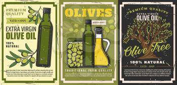 Olive oil and natural food products retro posters with vector bottles of extra virgin oil, jars of pickled green fruits and olive tree branches. Vegetable cooking oil, vegetarian salad dressing design