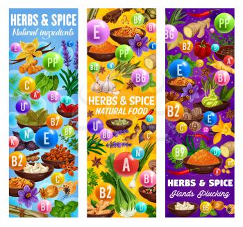 Herb and spice vitamins and minerals vector banners with food seasonings and condiments. Vanilla, cinnamon and ginger, chilli pepper, nutmeg and anise, basil, oregano and thyme, garlic and bay leaf