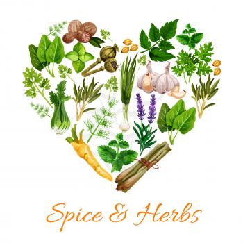 Spice and herbs heart shape. Vector lavender flowers and leek, nutmeg, green basil, lemongrass and parsley. Garlic and mint, marjoram and tarragon, poppy seeds, cardamon, dill and sage, celery