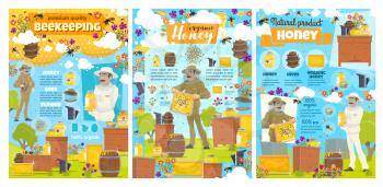 Beekeeping apiary farm and natural honey food production posters with infographic elements. Vector beekeeper with smoker collecting honey in honeycombs from beehives, bees flying on flowers