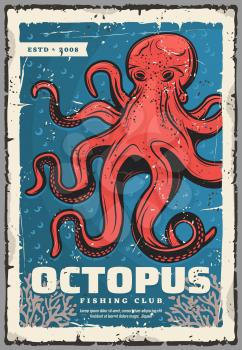 Red octopus, underwater animal. Vector animal with tentacles, sea monster and evil kraken. Ocean mollusk with red body, eight feet predatory and seaweeds, fishery seafood
