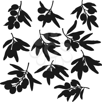 Olives branches black silhouettes, isolated vector. Olive fruits and leaves, natural farm products extra virgin oil seasoning ingredients. Mediterranean cuisine symbol
