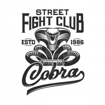 Attacking cobra vector print of fight club t-shirt. Apparel fashion design of snake in defensive posture with extended hood, open mouth and hand lettering. Sport uniform and activewear branding badge