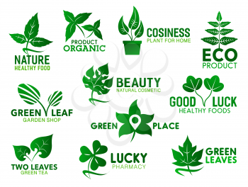 Green leaf, branch and plant in pot vector icons. Corporate identity symbols of healthy food, natural cosmetics and eco product, garden shop and pharmacy emblems design