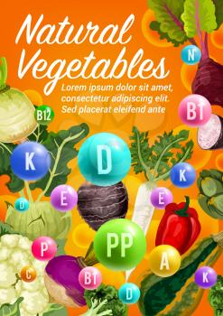 Natural vegetable vitamins in fresh broccoli, radish and zucchini, bell pepper, beet and cauliflower, kohlrabi, turnip and rutabaga veggies vector design. Health food and vegetarian nutrition themes