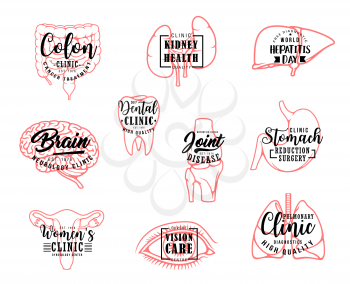 Organs outline icons, medical clinic and medicine lettering. Vector calligraphy of intestines cancer treatment, hepatitis day ribbon and dental clinic tooth, brain neurology center and joint disease