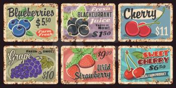 Farm fresh berry rusty metal plates. Blueberries, blackcurrant and sweet cherry, grapes, wild strawberry grunge vector tin signs. Organic farm orchard harvest plates with sweet berries, rust texture