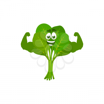 Cartoon spinach sportsman demonstrate power, vector funny green vegetable show muscles. Bodybuilding sport, healthy food character sports lifestyle, organic nutrition isolated on white background