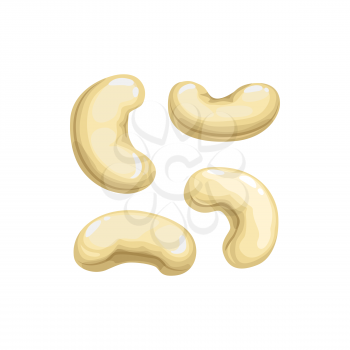 Cashew nuts isolated flat cartoon icon. Vector organic healthy food snack, seeds of roasted cashew nuts in nutshells, vegetarian dieting superfood. Peeled or unpeeled, dry or raw cashew seeds
