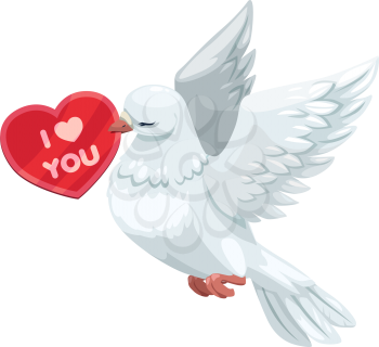 Dove with Valentines day card isolated bird. Vector Love you greetings on heart, white pigeon