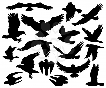 Eagles, falcons and predatory birds heraldry silhouettes. Vector isolated heraldic coat of arms symbols of vultures and hawks, flying birds of prey and bald eagle, falconry or falcon hunt
