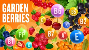 Farm garden berry harvest of cherry, black currant or redcurrant and strawberry. Vector vitamins and minerals in organic blueberry, sea buckthorn or rowanberry and forest cranberry berries