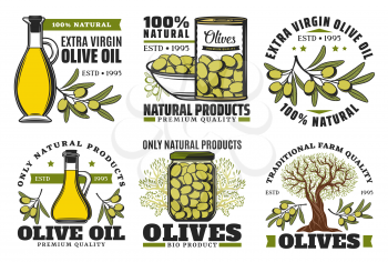 Extra virgin olive oil icons and natural farm food olive products. Vector isolated symbols of olive oil bottle, premium quality marinated pickles in can and green olive tree with stars and ribbons