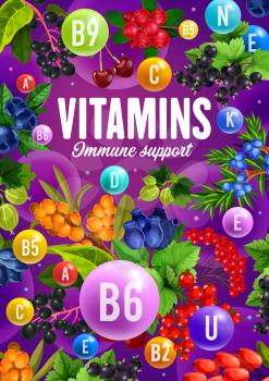 Berries and fruits with immune support vitamins poster of healthy vegetarian nutrition vector design. Cherry, cranberry and blueberry, blackcurrant, honeysuckle and gooseberry, barberry and juniper