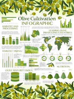 Olive oil infographics, harvest timing and processing, maturity index and nutrition. Vector graphs and diagram elements of green olives growing, extra virgin oil consumption, consumer market analysis