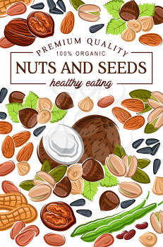 Natural raw and vegetarian food, nuts and seeds, organic nutrition. Vector healthy eating gmo free superfood coconut, hazelnut or walnut and almond, sunflower seeds and pistachio nuts