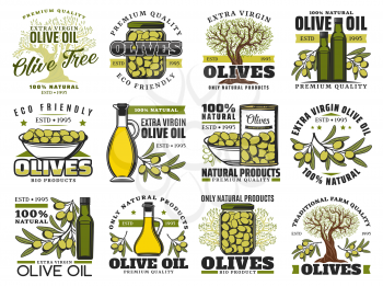 Olive food vector icons with oil bottles, olive trees, branches and leaves, fresh green fruits, marinated products in bowl, jar and can. Vegetarian cooking ingredient emblems design