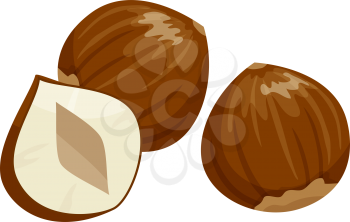 Hazelnut cobnut or filbert nut isolated food snack. Vector nut of hazel whole and cut