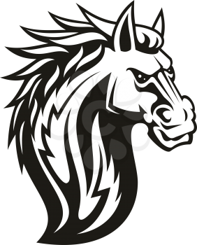 Horse mustang head isolated. Vector equestrian sport mascot, tattoo mare or stallion