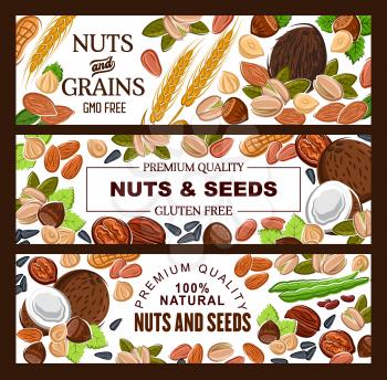Cereal grains, nuts and seeds, organic GMO free raw vegetarian food, healthy superfood nutrition. Vector natural peanut, hazelnut and almond, coconut, wheat and rye, sunflower seeds and pistachio nuts