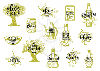 Olive oil, tree and fruit sketch lettering of farm food vector design. Green olives and branches, oil bottles, jar, can and bowl with pickled and stuffed fruits. Cooking ingredients, seasonings