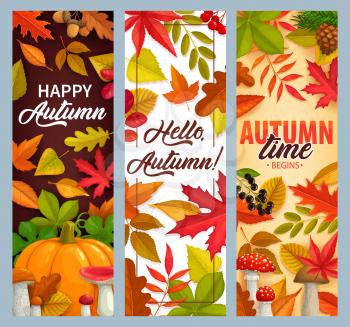 Hello Autumn vector banners with falling leaves, pumpkin and fall foliage. Mushrooms, pine cones, maple, oak or poplar and birch tree with chestnut leaf and rowan. Happy autumn time seasonal greetings