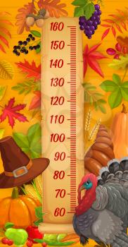 Kids height chart, Thanksgiving turkey, harvest and autumn leaves, vector growth measuring meter. Kid measure scale or baby height ruler with cartoon Thanksgiving cornucopia, pumpkin and acorns