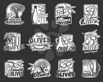 Olive oil, fresh and canned fruit vector badges of organic food with olive trees, branches and leaves. Oil bottle and jug, jar, bowl and can of marinated fruit monochrome labels, packaging design