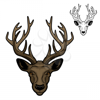 Deer with antlers mascot of vector animal head. Hunting, sport and zoo mascot of reindeer, wild herbivores mammal stag or doe with brown fur and large horns