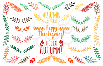 Autumn leaves and floral elements. Flourish dividers, ornate borders or separators, vector botanical decorations or outline embellish set with trees foliage, bushes branches and color leaves.