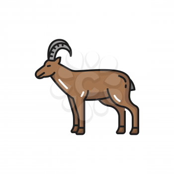 Goat domestic animal isolated livestock mammal flat line icon. Vector farm horned brown cattle side view. Mountain goat mascot, agriculture farming source of meat and milk, Switzerland livestock pet