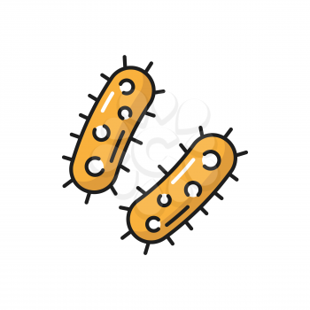 Virus infection bacteria, yellow macro cell isolated color line icon. Vector genome microscopic microbiology organism. Microorganism, pathogen bacillus microscopic gene in stomach or intestines