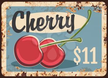 Rusty metal plate with cherry, vector vintage rust tin sign with ripe sweet cherries, price tag for retail. Orchard organic production retro poster or shop ad promo, ferruginous label for farm market