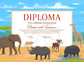 Kids diploma certificate vector template with african safari animals. Education award of school, preschool or kindergarten graduation, achievement certificate with elephant, rhino, giraffe and hippo