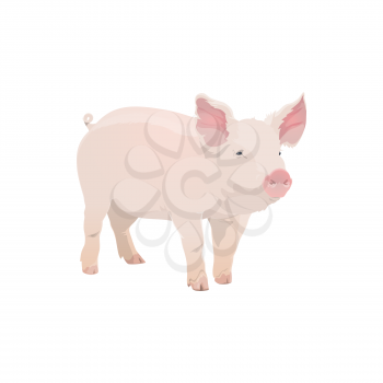 Pig, farm animal icon, vector cattle farming and pork meat food product symbol. Cartoon isolated pig piglet, butcher shop and farm market animal sign