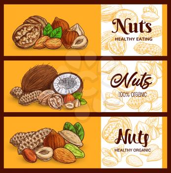 Nuts and cereals sketch banners, cashew and almond, peanuts and pistachio seeds, vector. Vegetarian and vegan natural protein raw food coconut, hazelnut and walnut, muesli breakfast ingredients